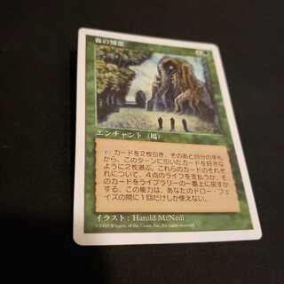 森の知恵　日本語版1枚