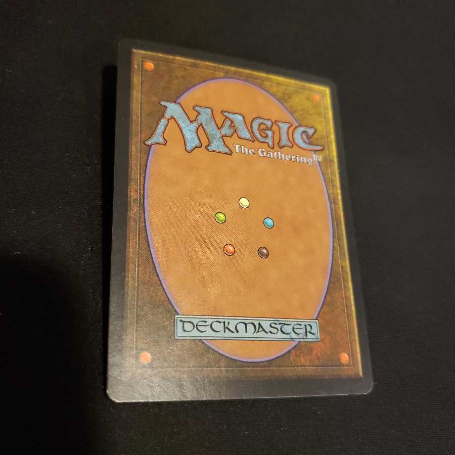 森の知恵　日本語版1枚