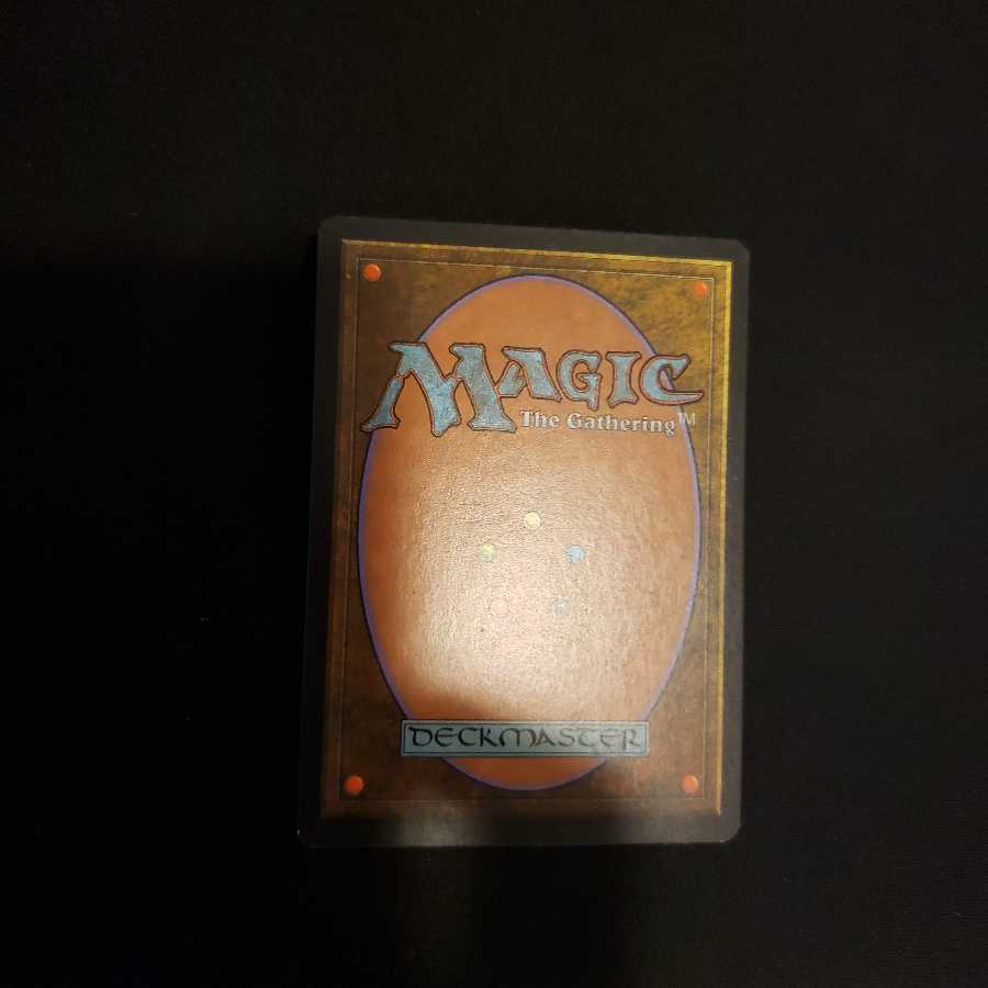 森の知恵　日本語版1枚