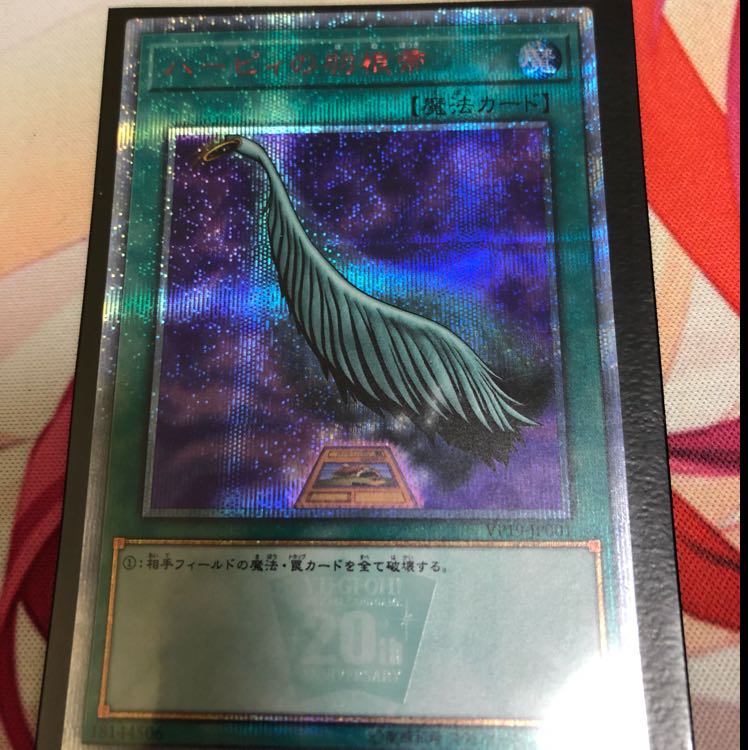 ハーピィの羽根帚 20thシク