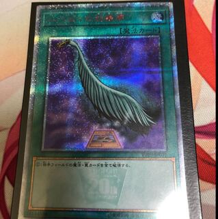 ハーピィの羽根帚 20thシク