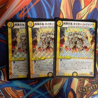 真実の名　タイガー・レジェンド