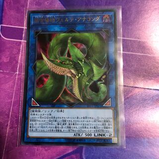 捕食植物ヴェルテ・アナコンダ