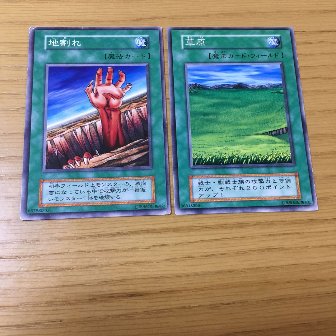 【エラーカード】地割れ・草原