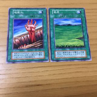 【エラーカード】地割れ・草原