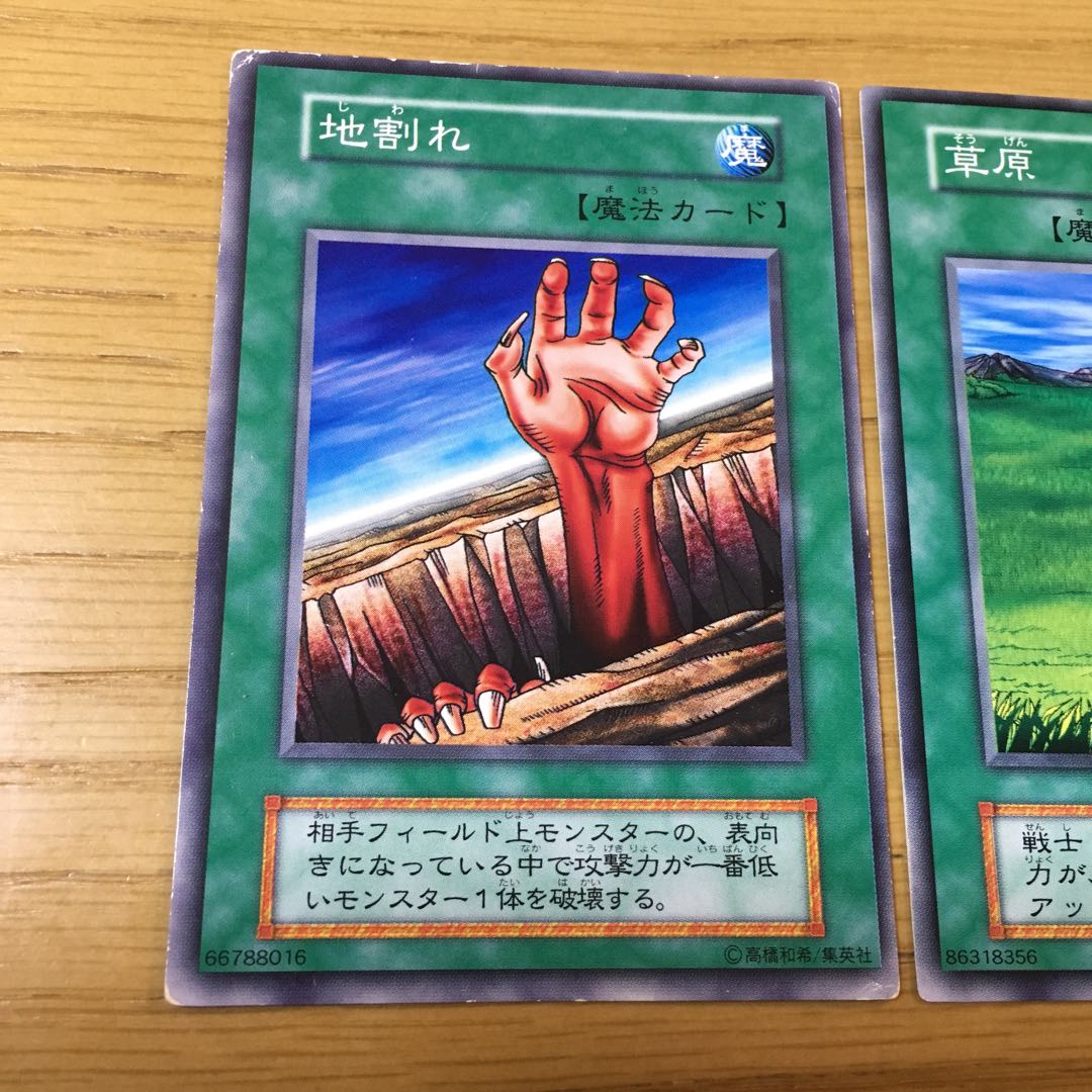 【エラーカード】地割れ・草原