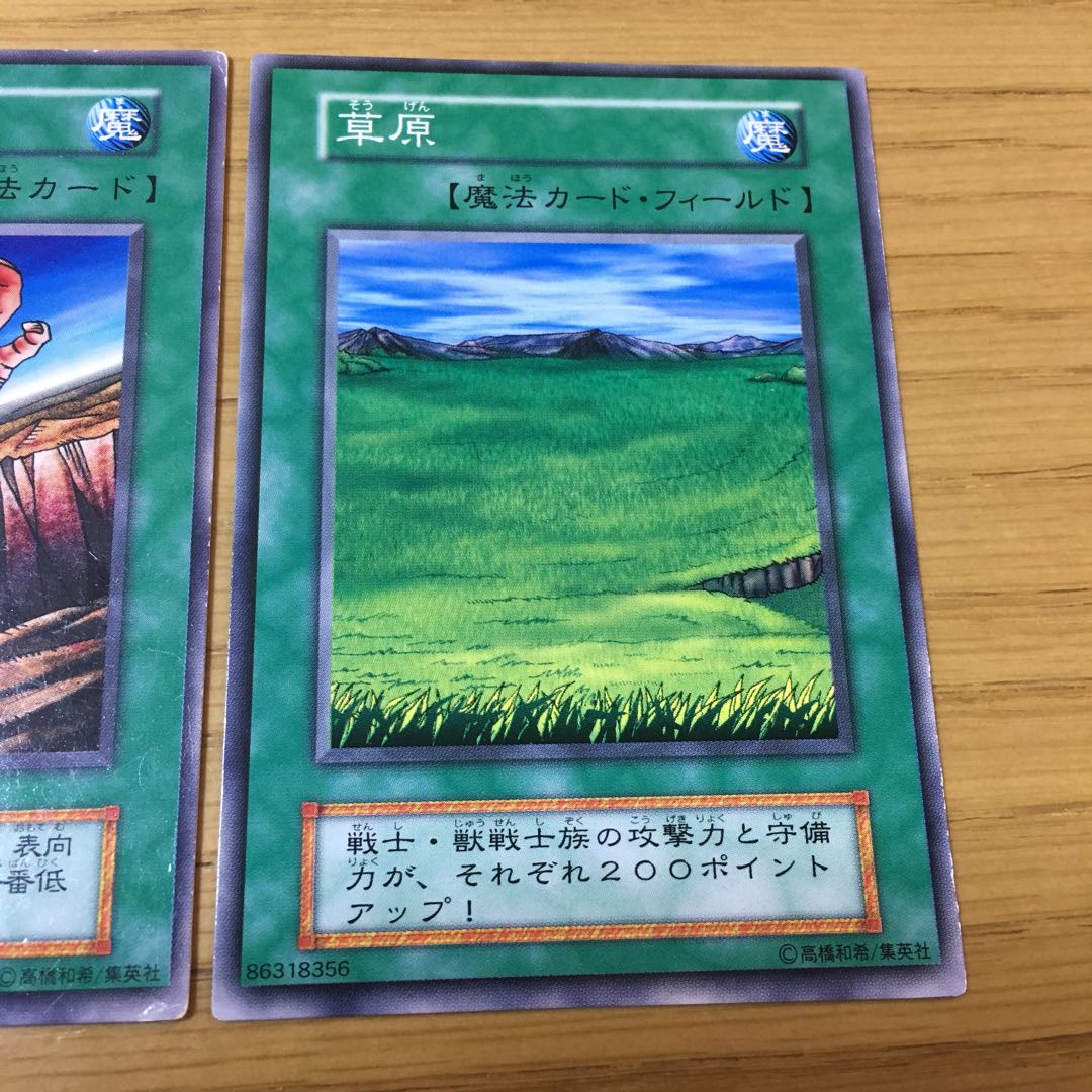 【エラーカード】地割れ・草原