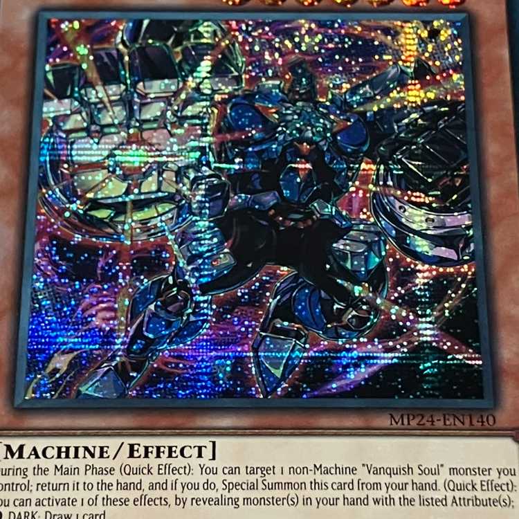 VS Heavy Boger English EU edition MP24 SCR