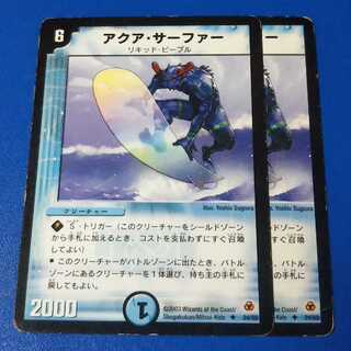 ｼﾞｬﾝｸ　アクアサーファー　2枚【管理記号c】