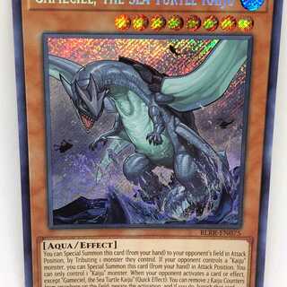 遊戯王 英語 海亀壊獣ガメシエル 1st BLRR シークレット シク