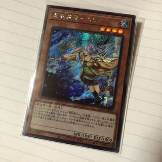 憑依装着-エリア　シク　新規　シークレット　交渉可　マホ子