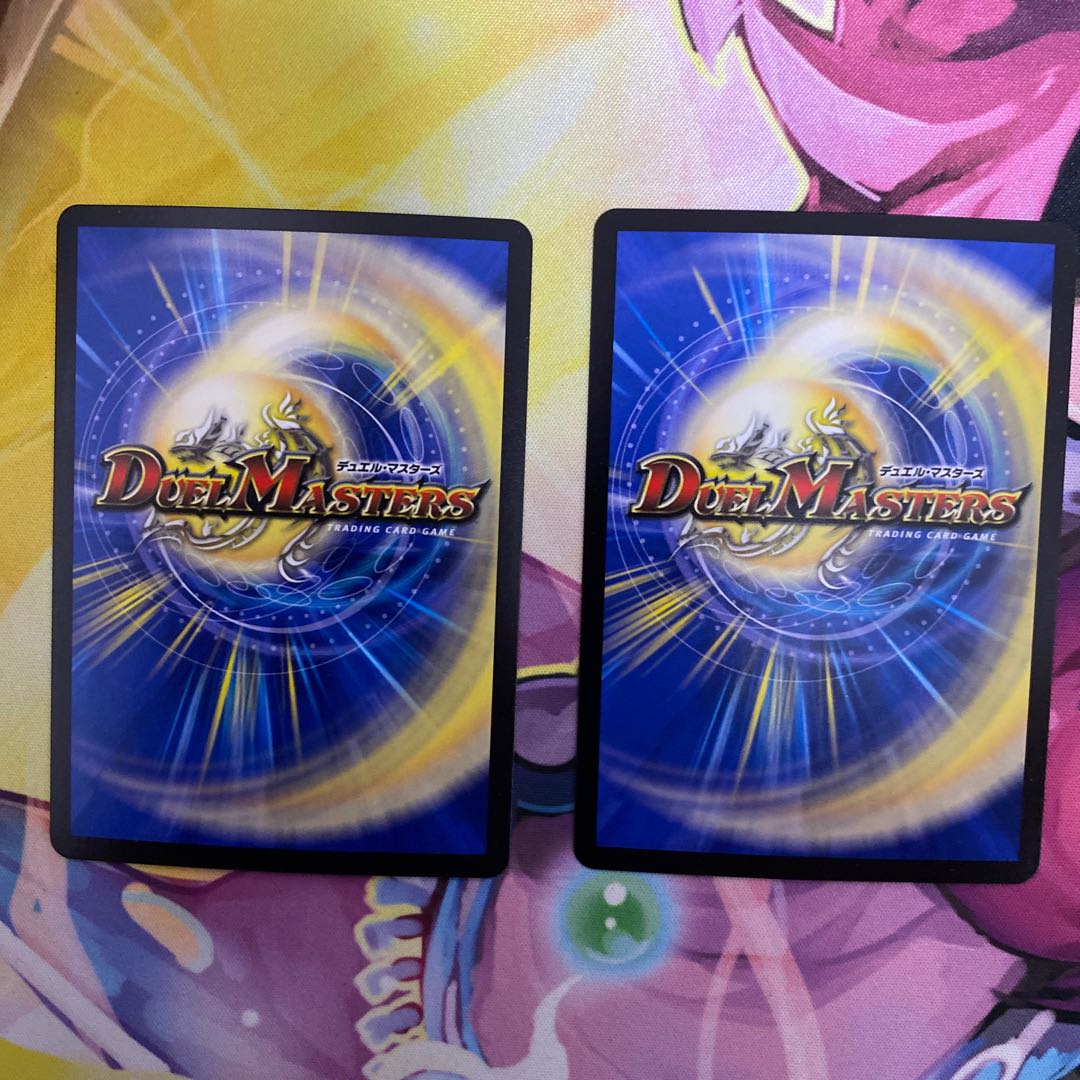 「絶対の楯騎士」2枚