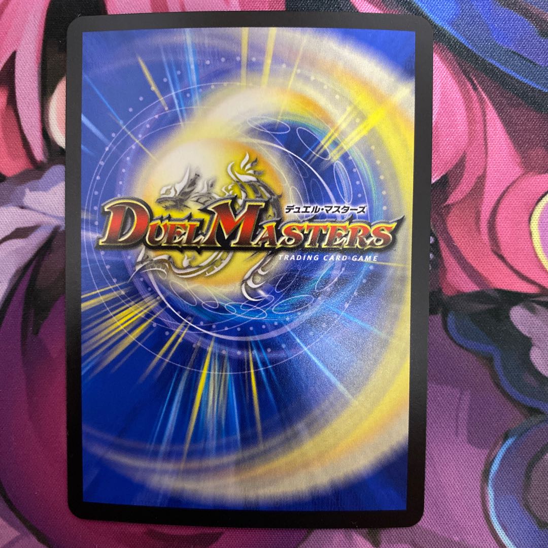 「雷光の聖騎士」