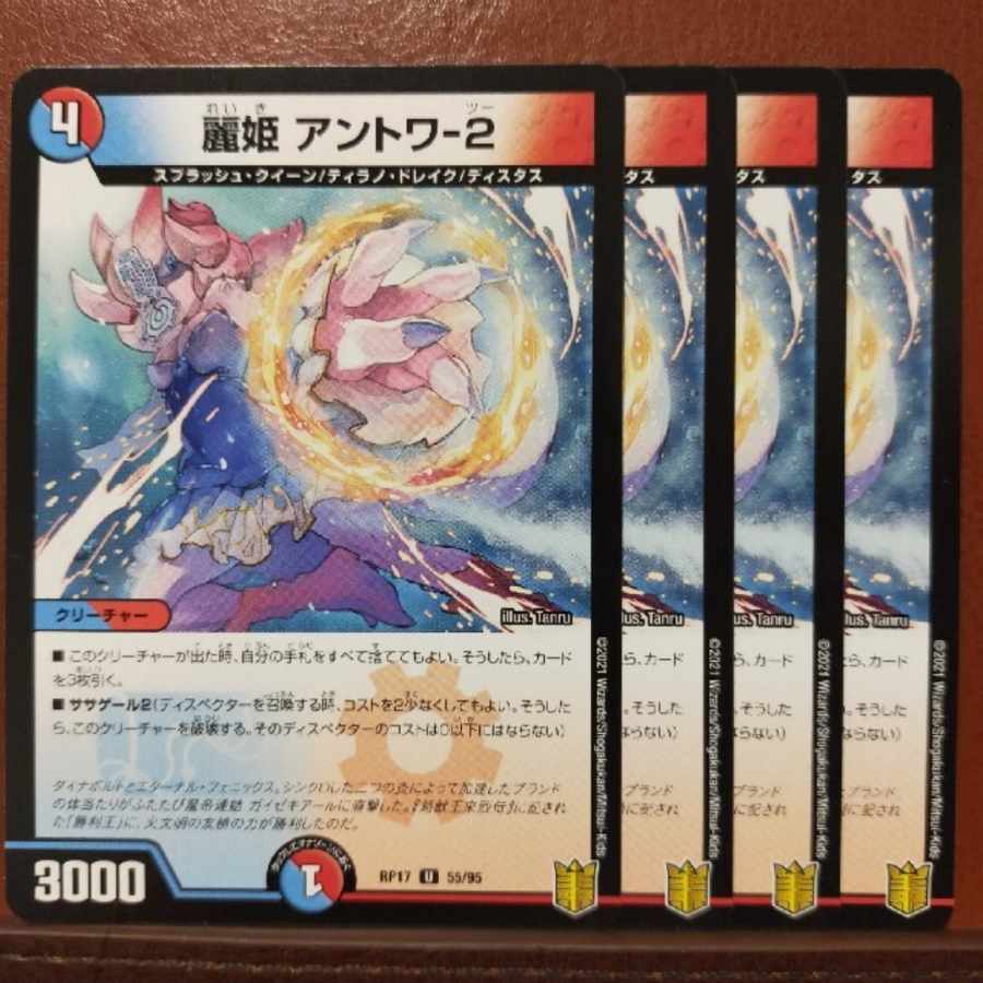 kng024-025.422-423セット割引 麗姫 アントワ-2 U 55/95