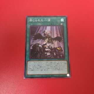 禁じられた一滴 SR　ROTD-JP065