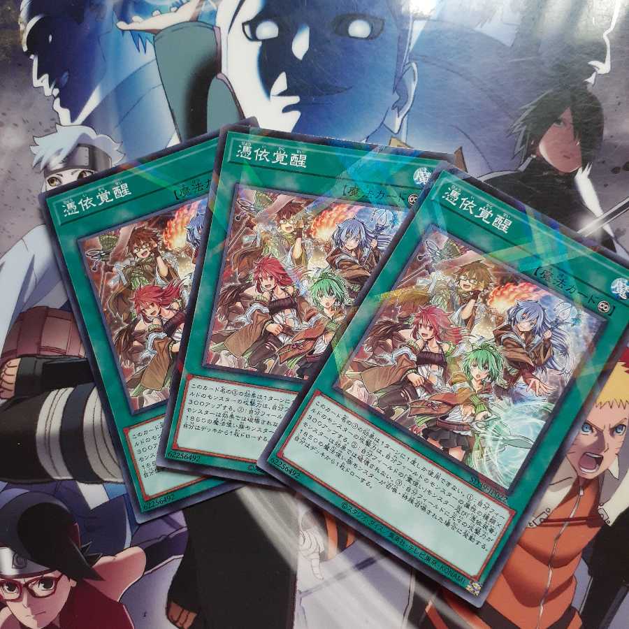 憑依覚醒　パラレルセット