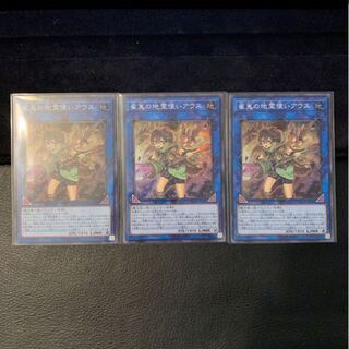 崔嵬の地霊使いアウス SR