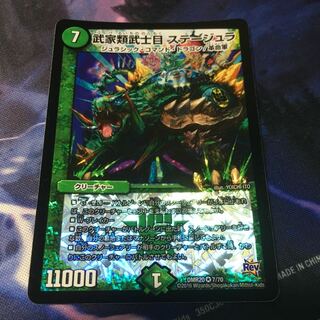 武家類武士目 ステージュラ VR