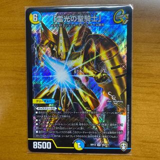 「雷光の聖騎士」