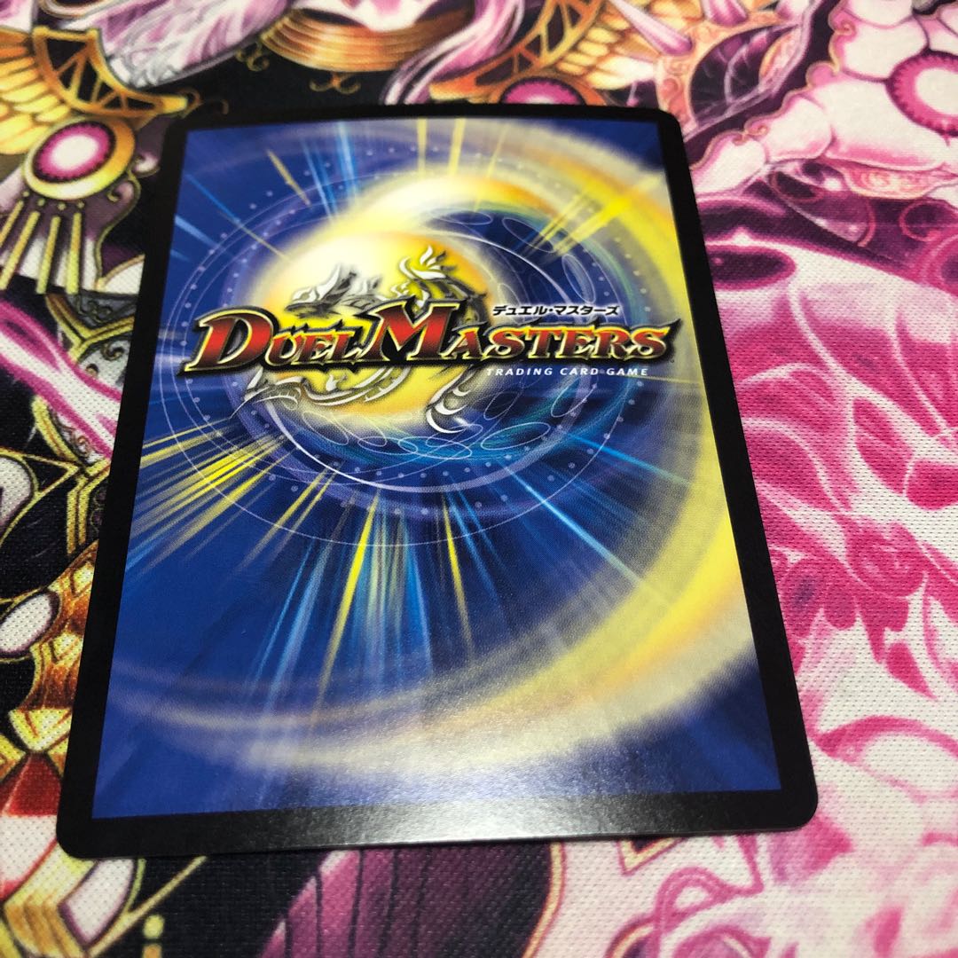 「絶対の楯騎士」