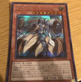 教導の騎士フルルドリス SE