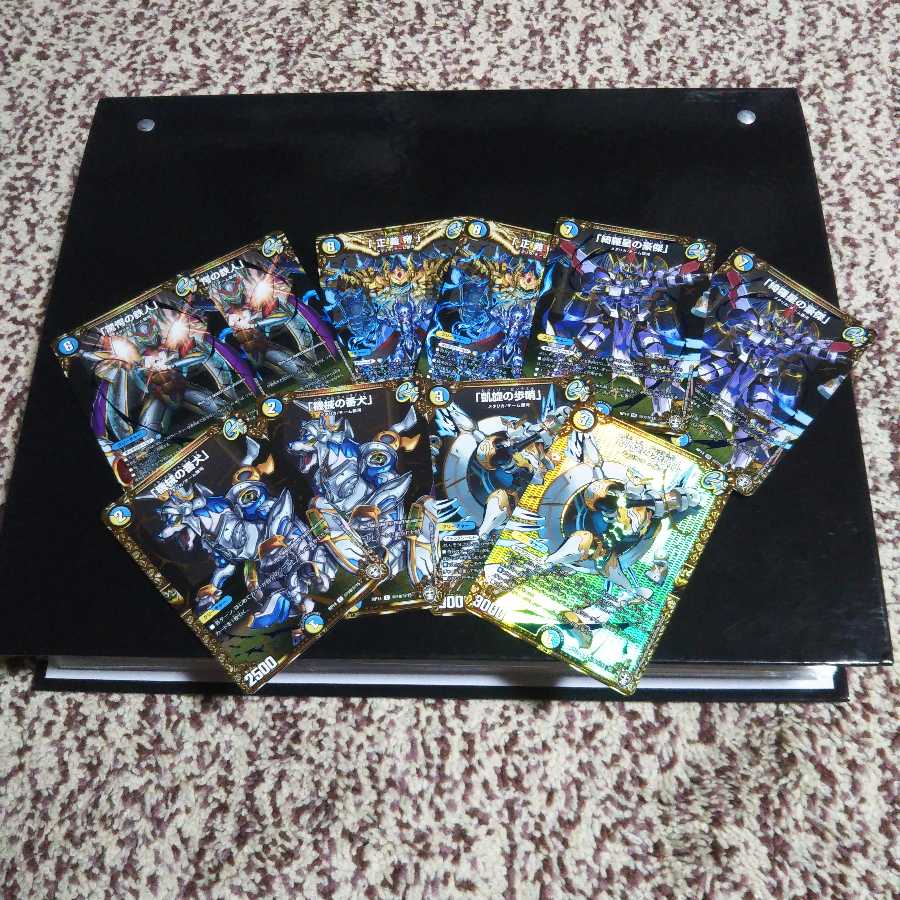 ギャラクシールドシクパック