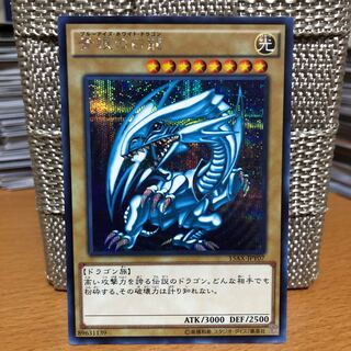 専用 青眼の白龍 SE レッドアイズ ウルパラ ブラックマジシャンプレゴル