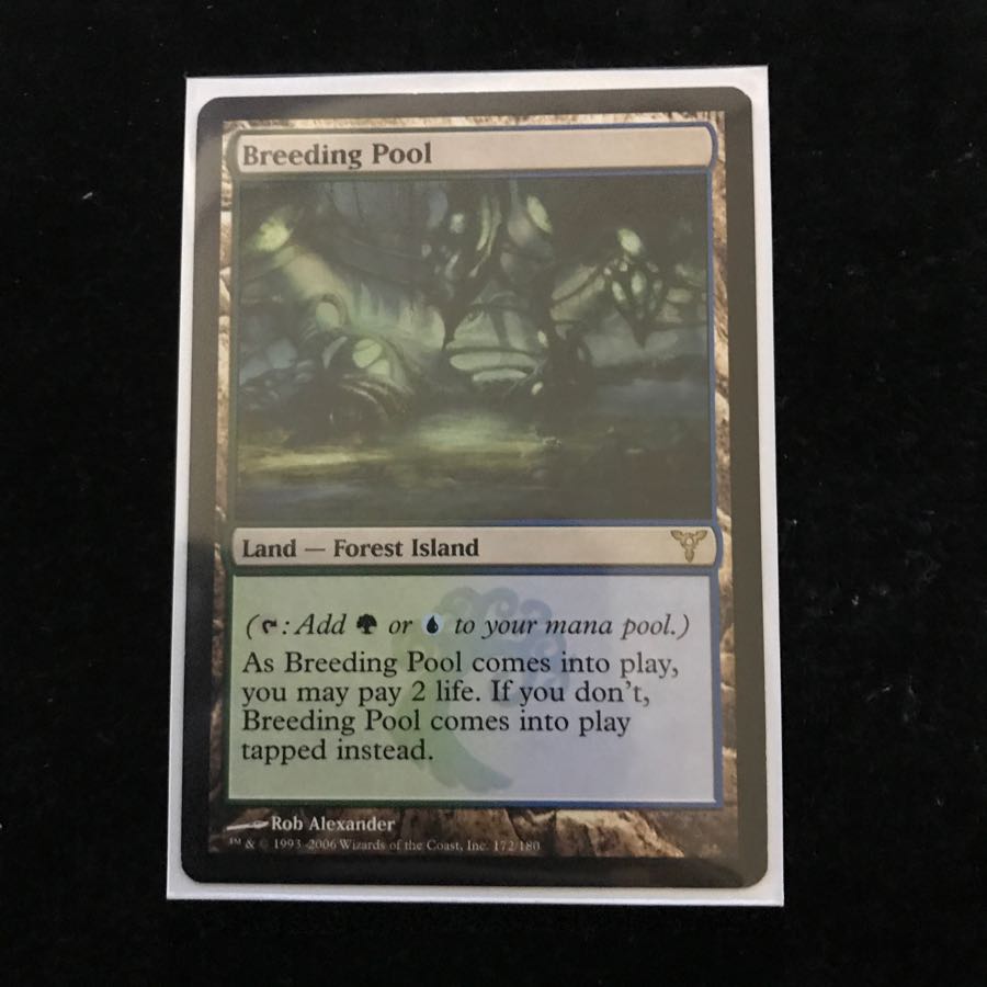 繁殖池/Breeding Pool DIS 英 1枚