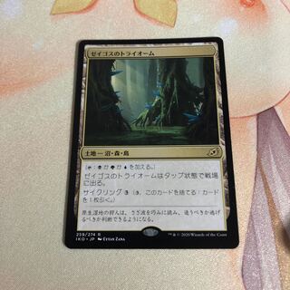 ゼイゴスのトライオーム