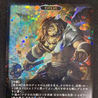 シャドウバースエボルヴ　王たる光・ベイリオン(EVOLVE)（SL）