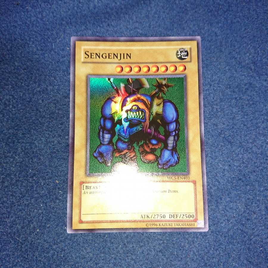 千年原人 wcs-en wcs-ae 2枚セット