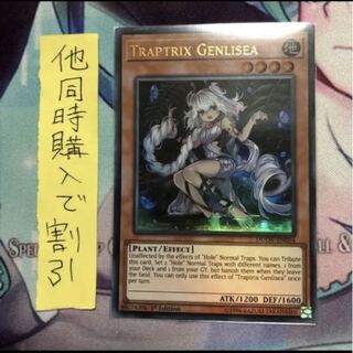 遊戯王 英語