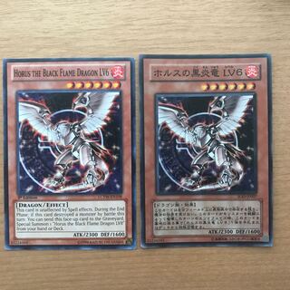 ホルスの黒炎竜 LV6