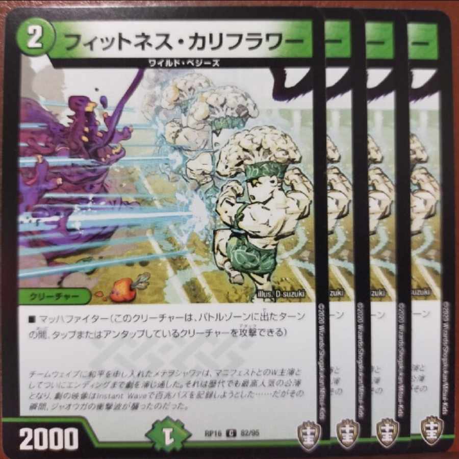 oni310-311.314セット割引　フィットネス・カリフラワー C 82/95