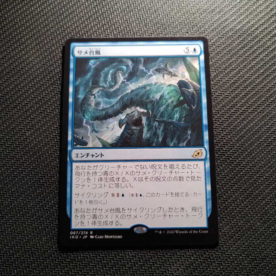 送料込 サメ台風/Shark Typhoon JPN IKO