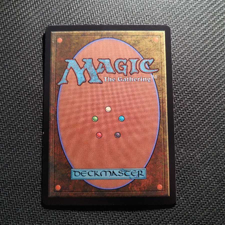 送料込 サメ台風/Shark Typhoon JPN IKO