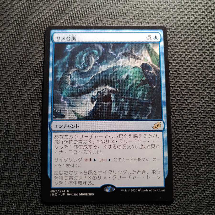 送料込 サメ台風/Shark Typhoon JPN IKO ②