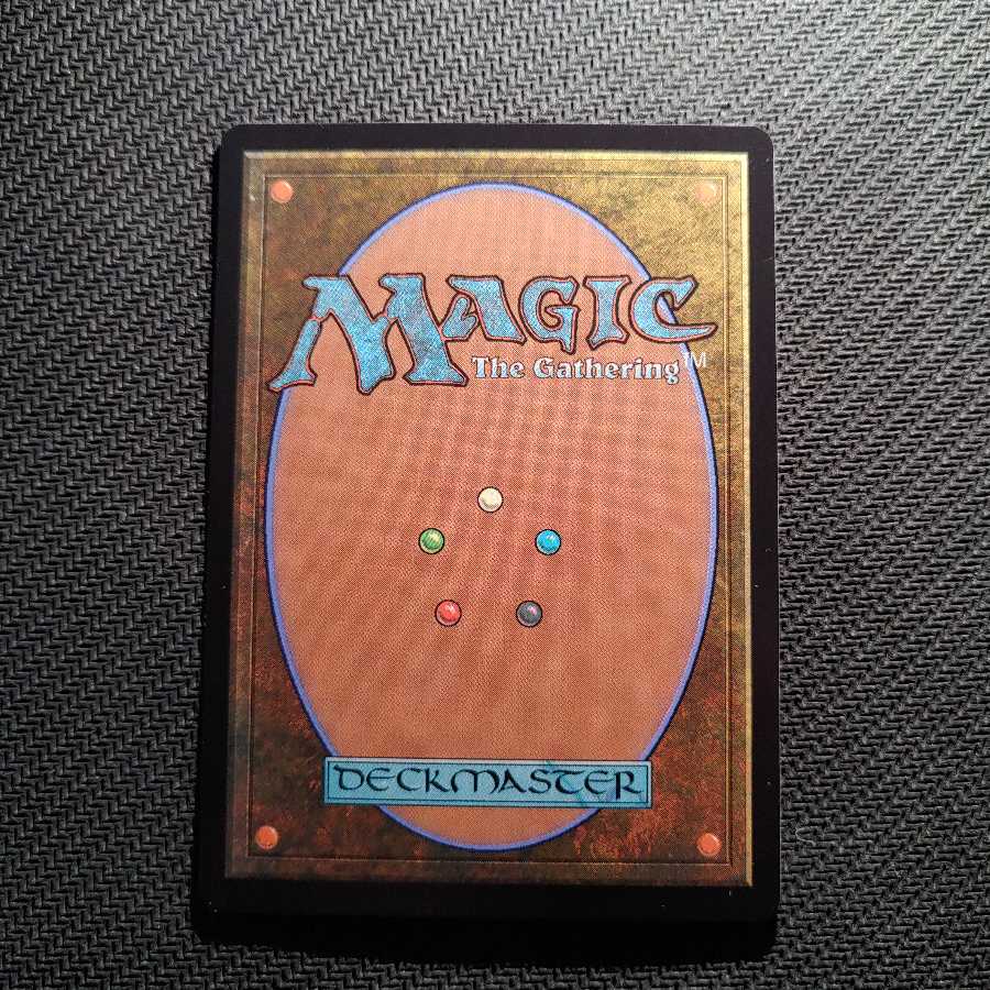 送料込 サメ台風/Shark Typhoon JPN IKO ②