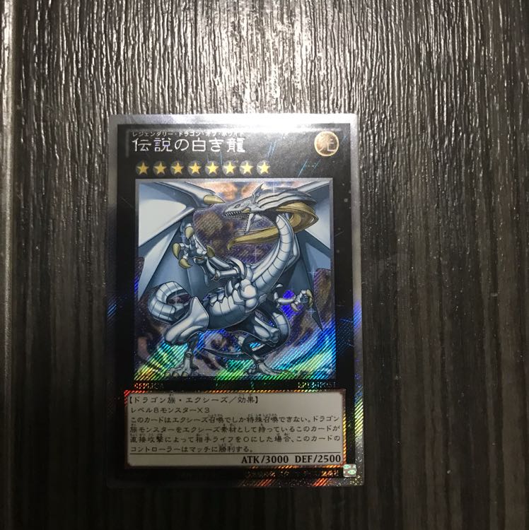 伝説の白き龍 エクシク  fireooI様専用