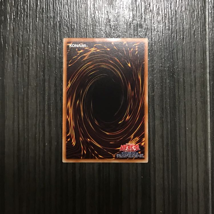 伝説の白き龍 エクシク  fireooI様専用