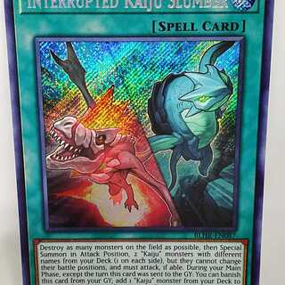 遊戯王 英語 妨げられた壊獣の眠り 1st BLHR シークレット シク