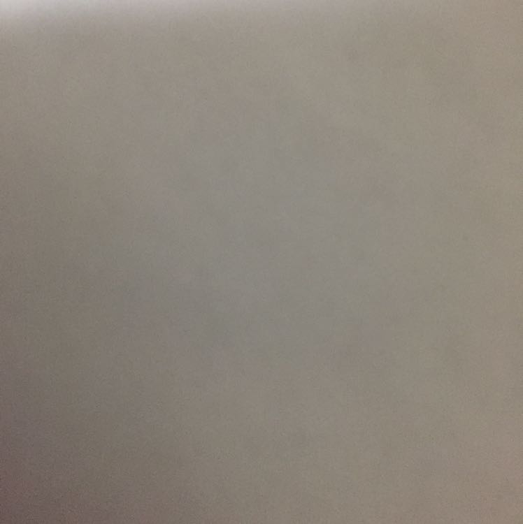 インテグラル様専用