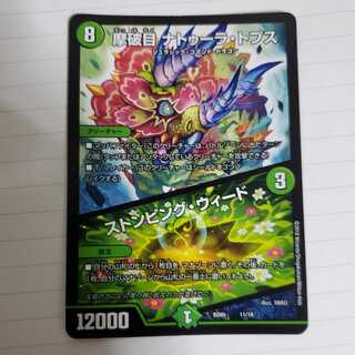 摩破目 ナトゥーラ・トプス｜ストンピング・ウィード