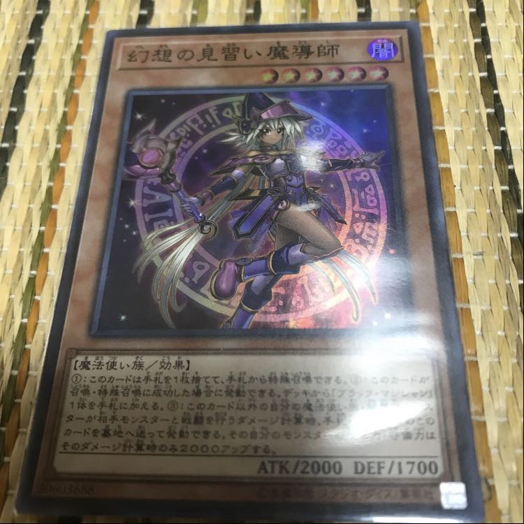 専用ガーディアン・スライム SR