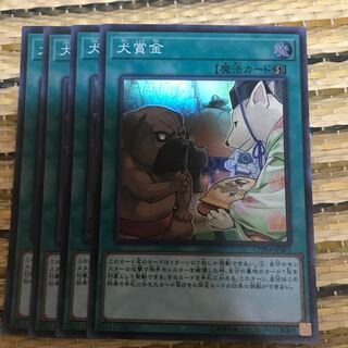 マドレース 犬賞金 SR