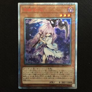 浮幽さくら20thシークレット①