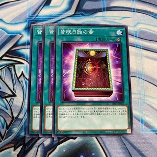 皆既日触の書 N