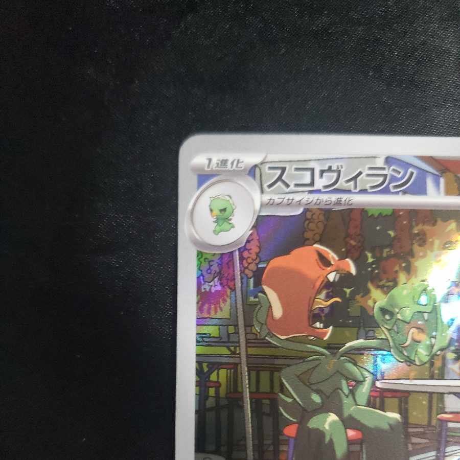 Scovillan AR 081/078