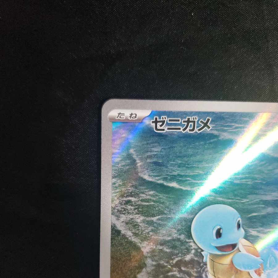 Squirtle AR 170/165