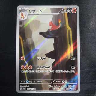 リザード AR 169/165